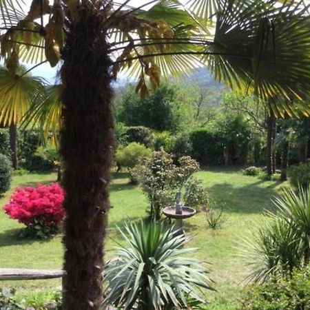 """Casa Elena -Tegna"" Die Ruheoase In Grossem Garten" Extérieur photo