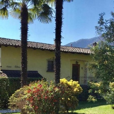 """Casa Elena -Tegna"" Die Ruheoase In Grossem Garten" Extérieur photo