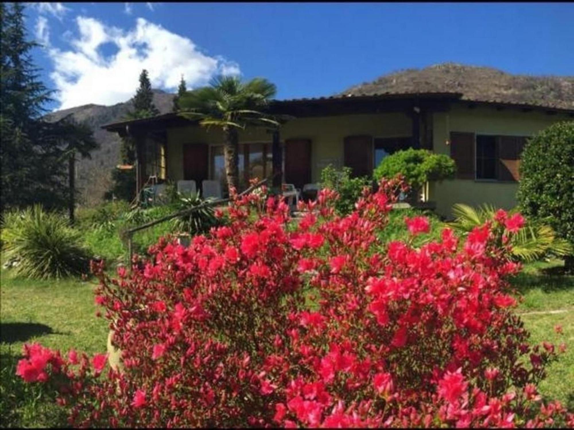 """Casa Elena -Tegna"" Die Ruheoase In Grossem Garten" Extérieur photo